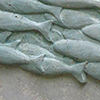 Referenz - Grabstein mit Fischschwarm in Farbe